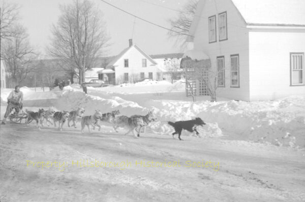 Dog sled race Hillsboro 1957